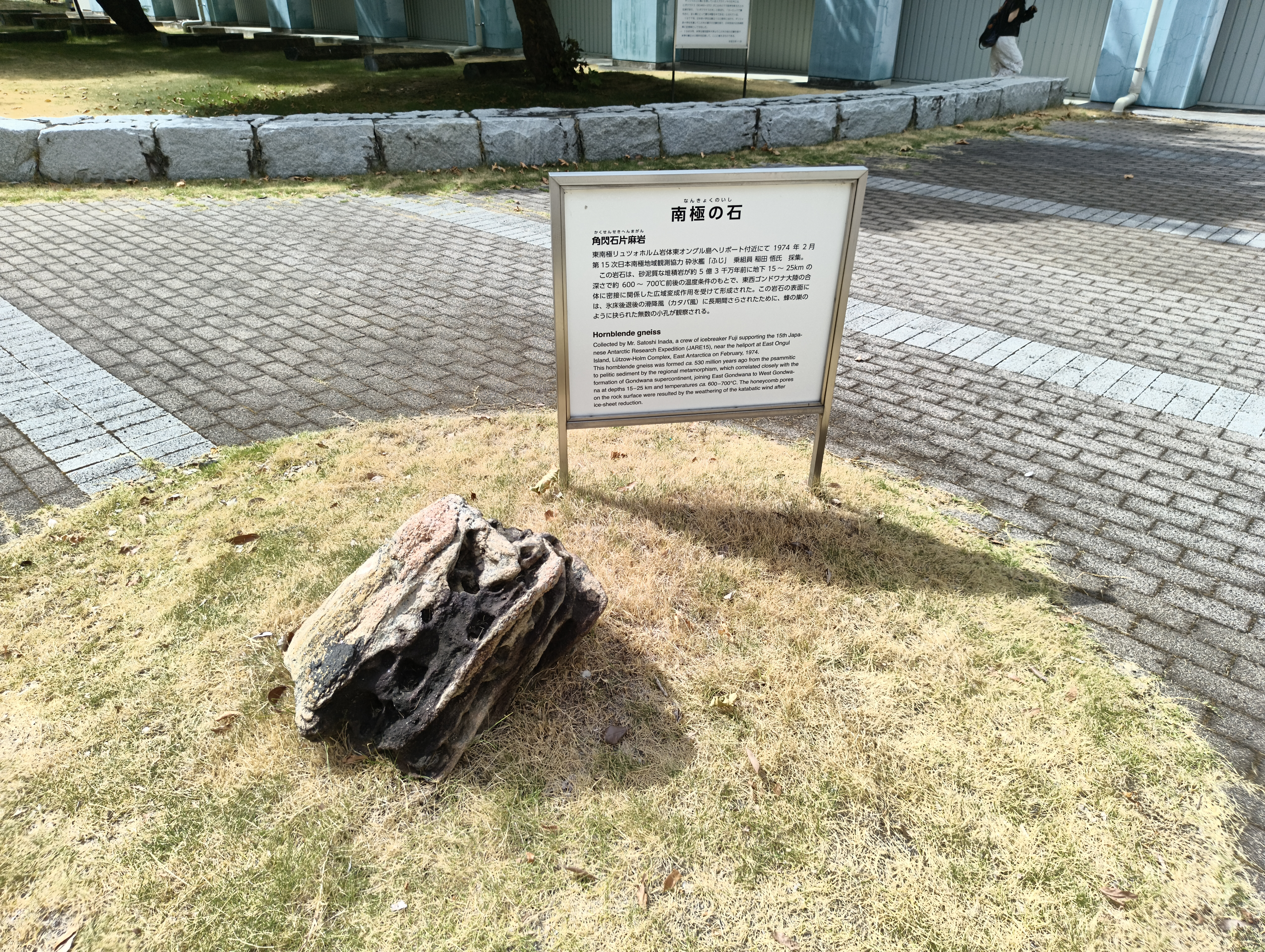 南極の角閃石片麻岩